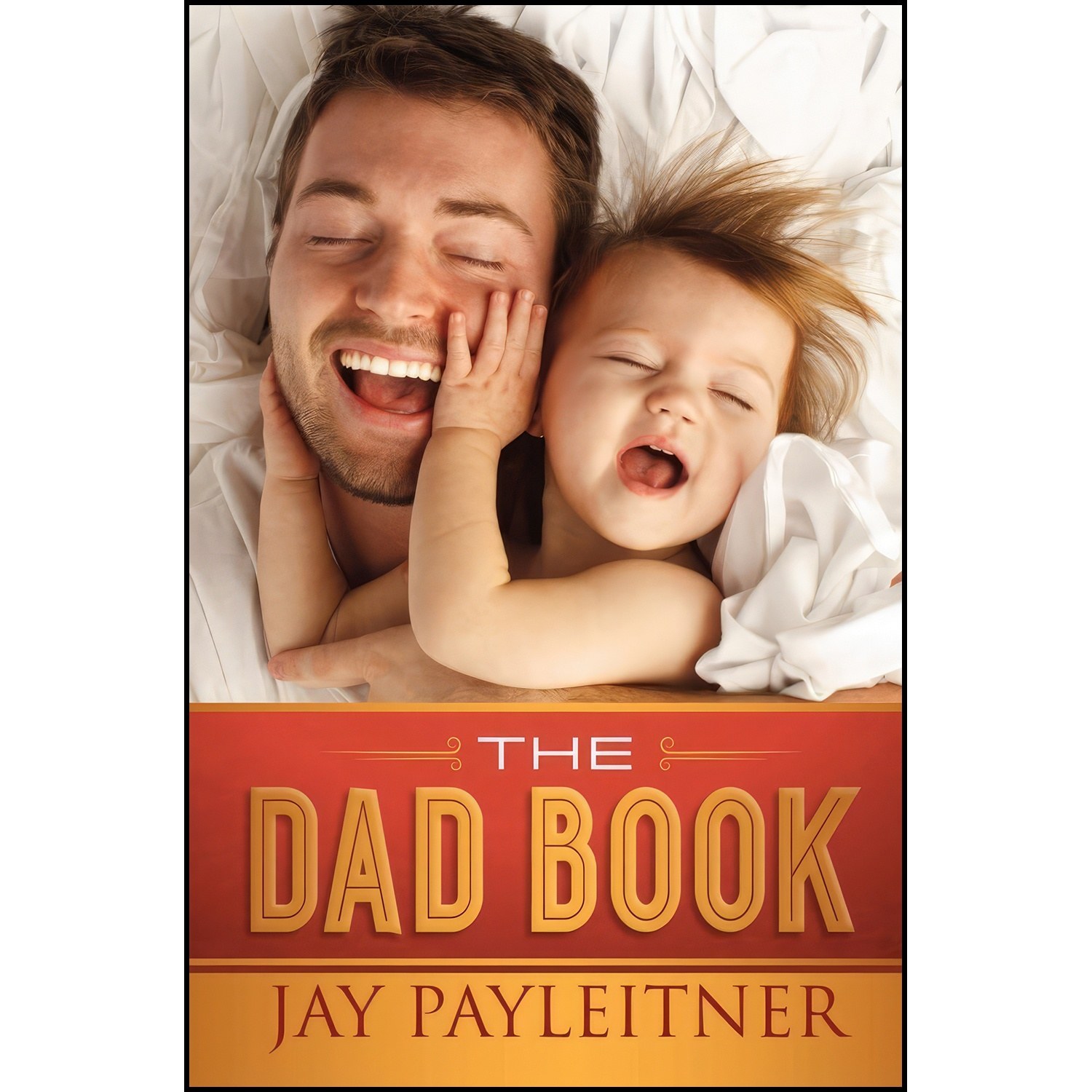 کتاب زبان اصلی The Dad Book اثر Jay Payleitner