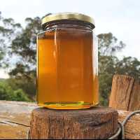 عسل طبیعی رازیانه( فراورده های طبیعی ایلیا )