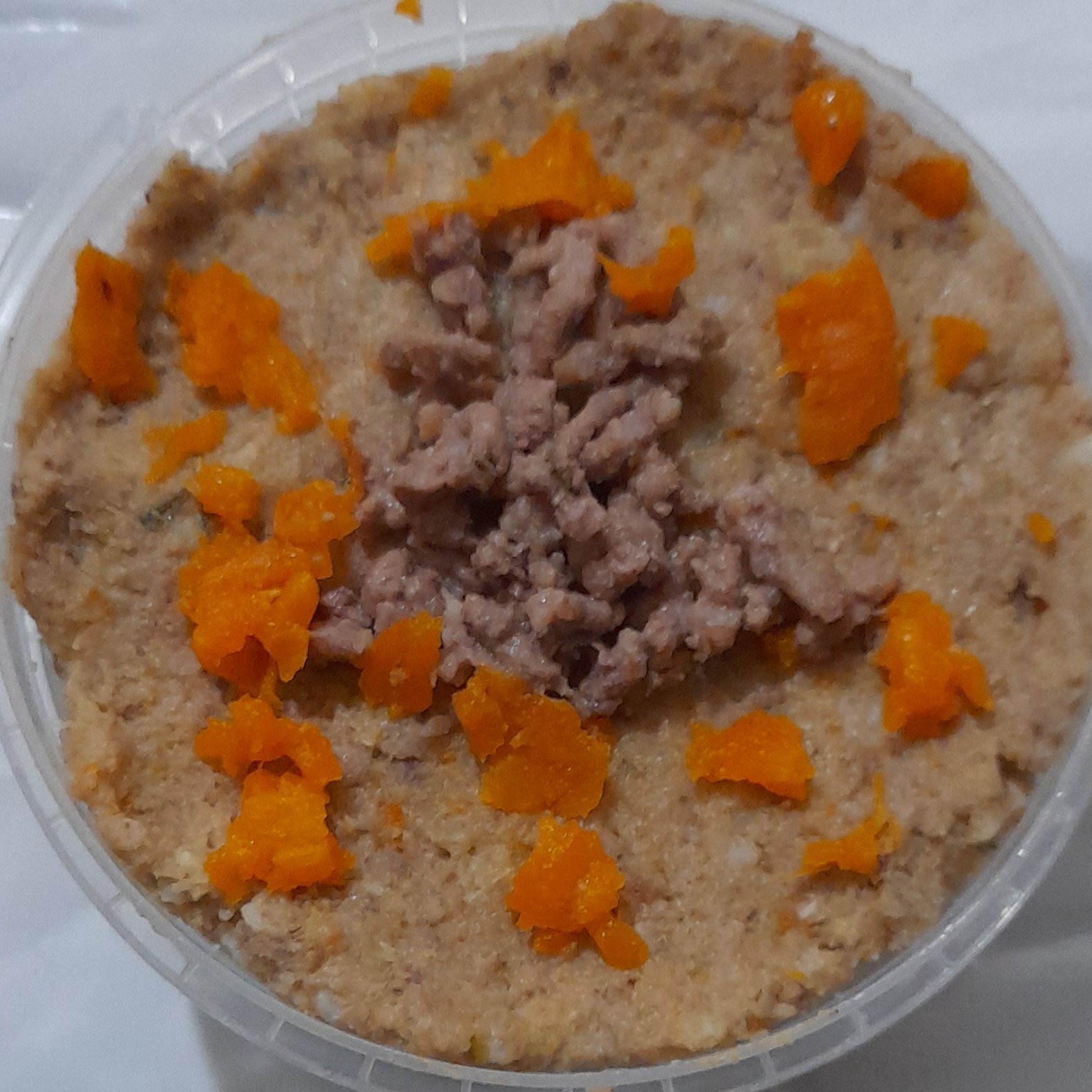 گوشت و سبزیجات سگ وگربه
