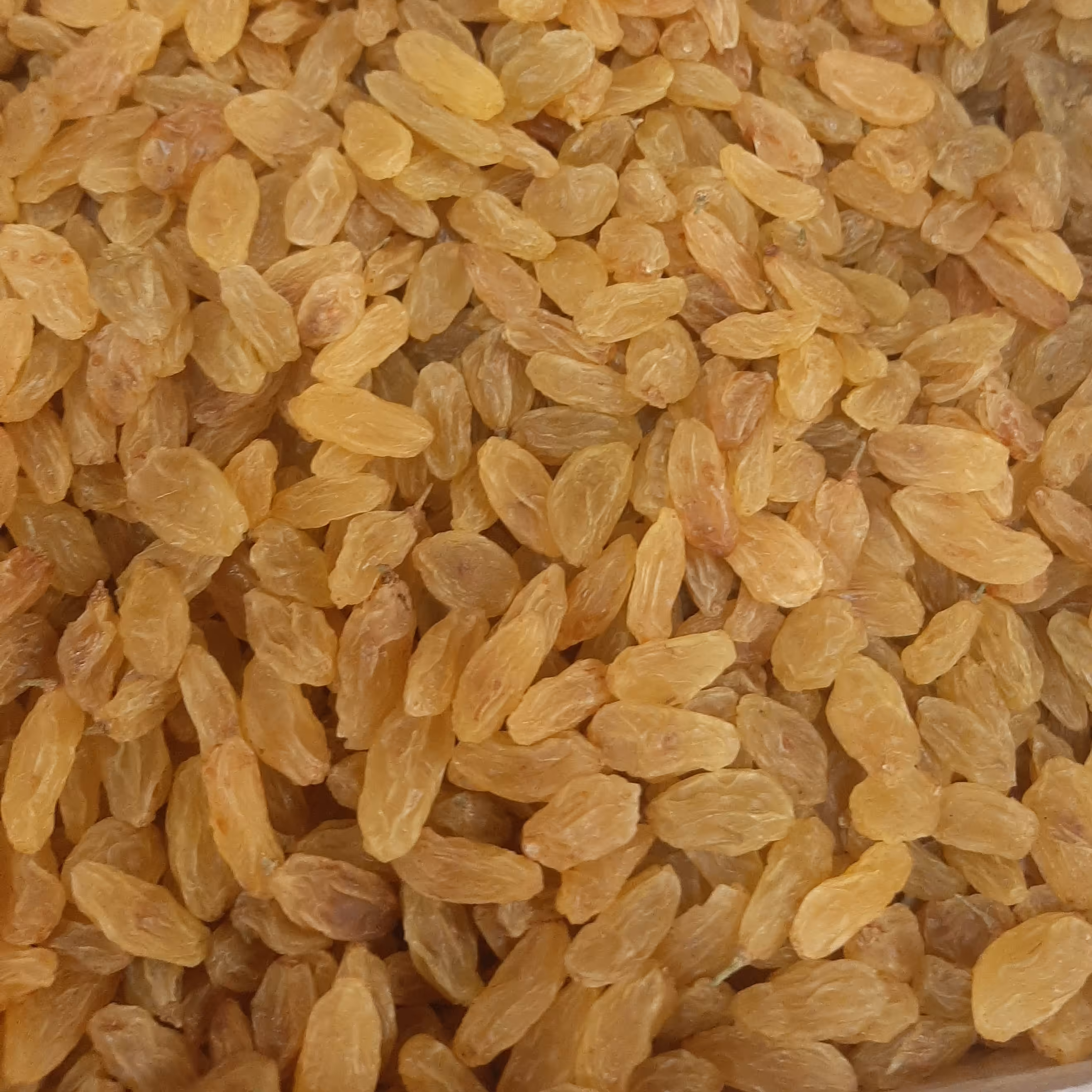 کشمش قلمی طلایی ممتاز 500 گرمی(تضمین کیفیت)