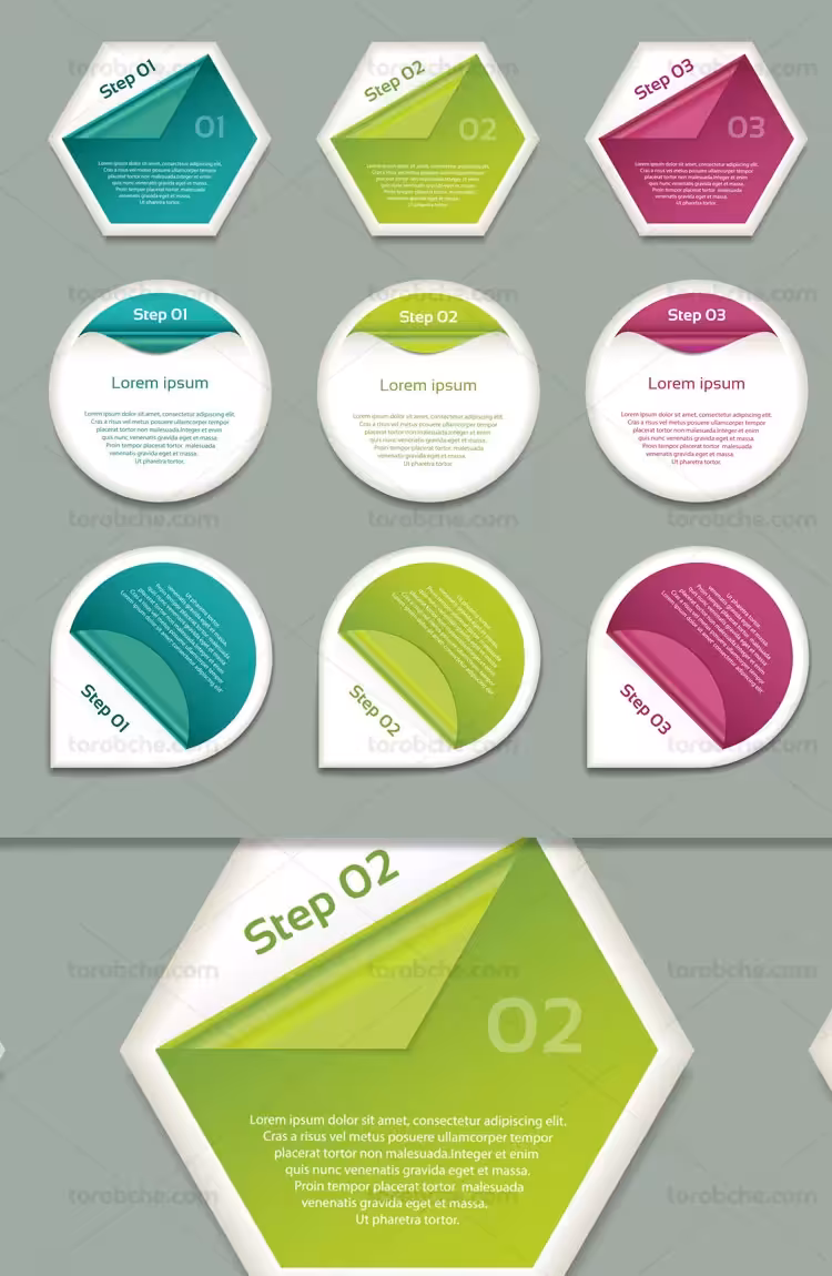 وکتور لیبل و برچسب سه مدل متفاوت | گرافیک با طعم تربچه