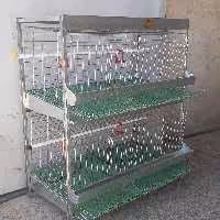 قفس دو طبقه مرغ تزئینی تخم گذار ،پس کرایه 