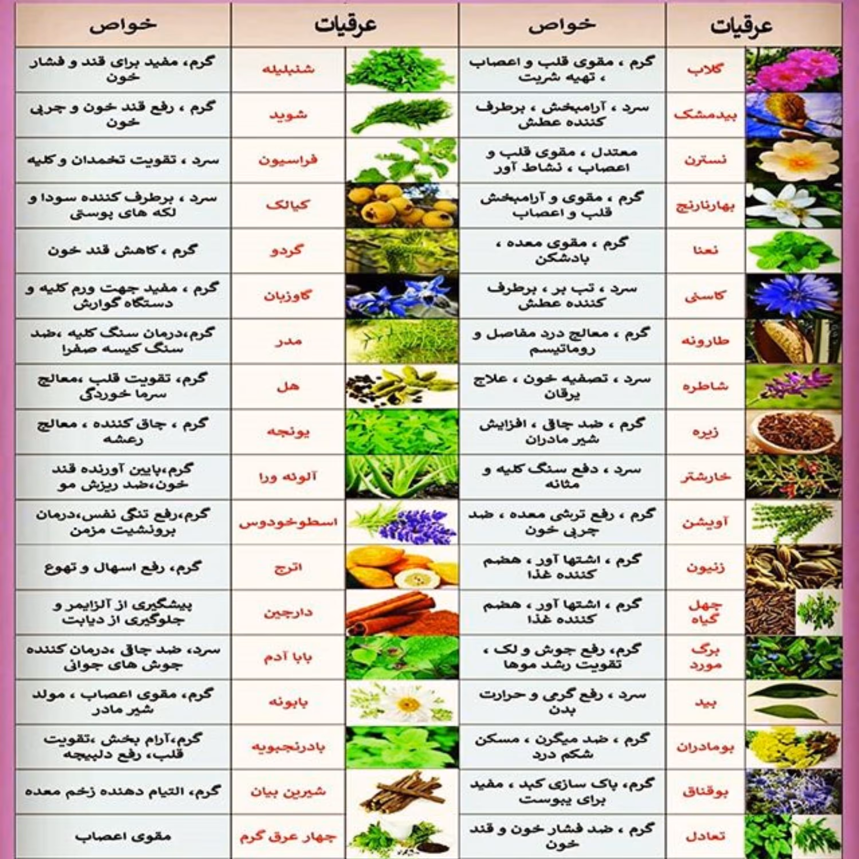 عرق آویشن