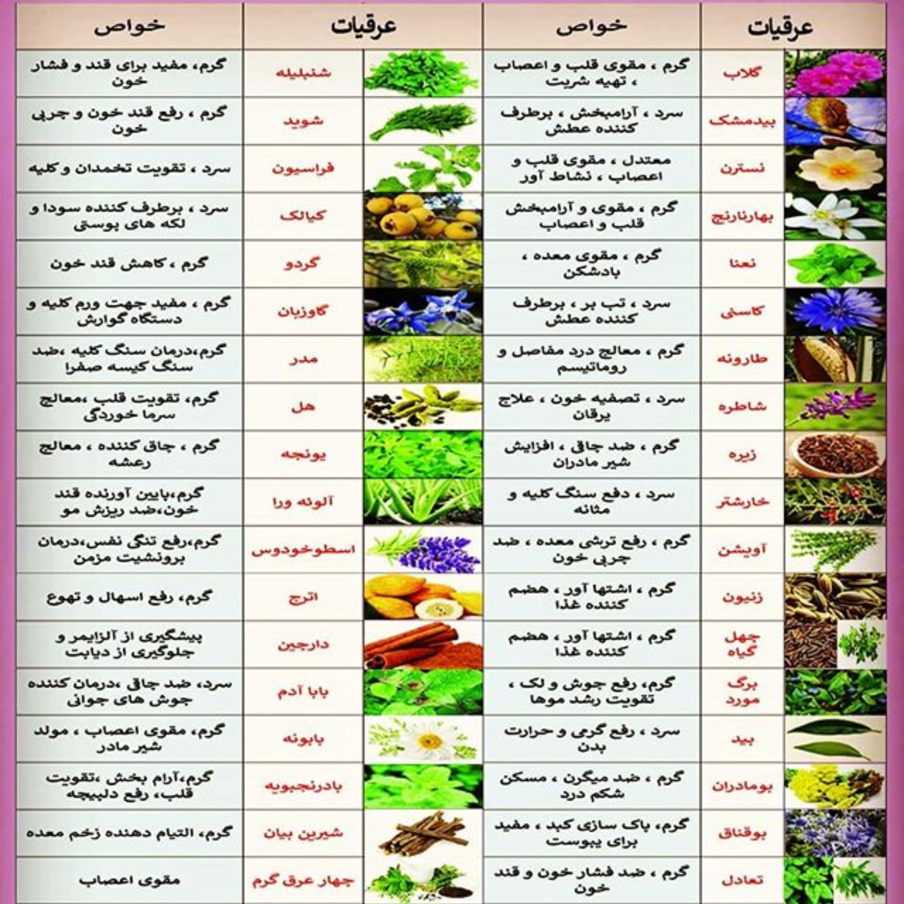 عرق آویشن