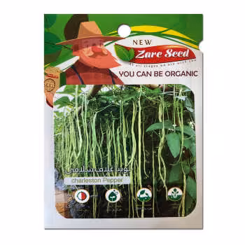 بذر لوبیا غلاف شلاقی به همراه روش کاشت در گلدان و باغچه/ قیمت+خرید