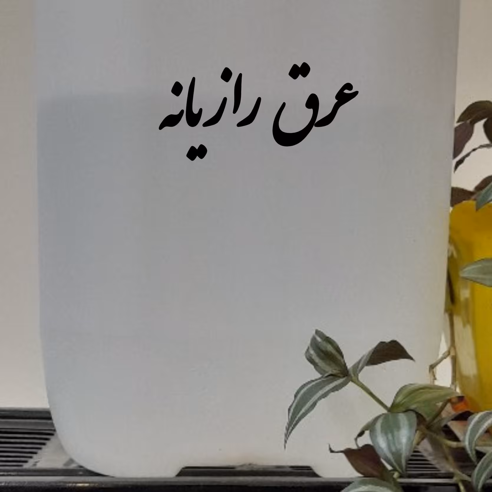 عرق رازیانه 1000گرمی