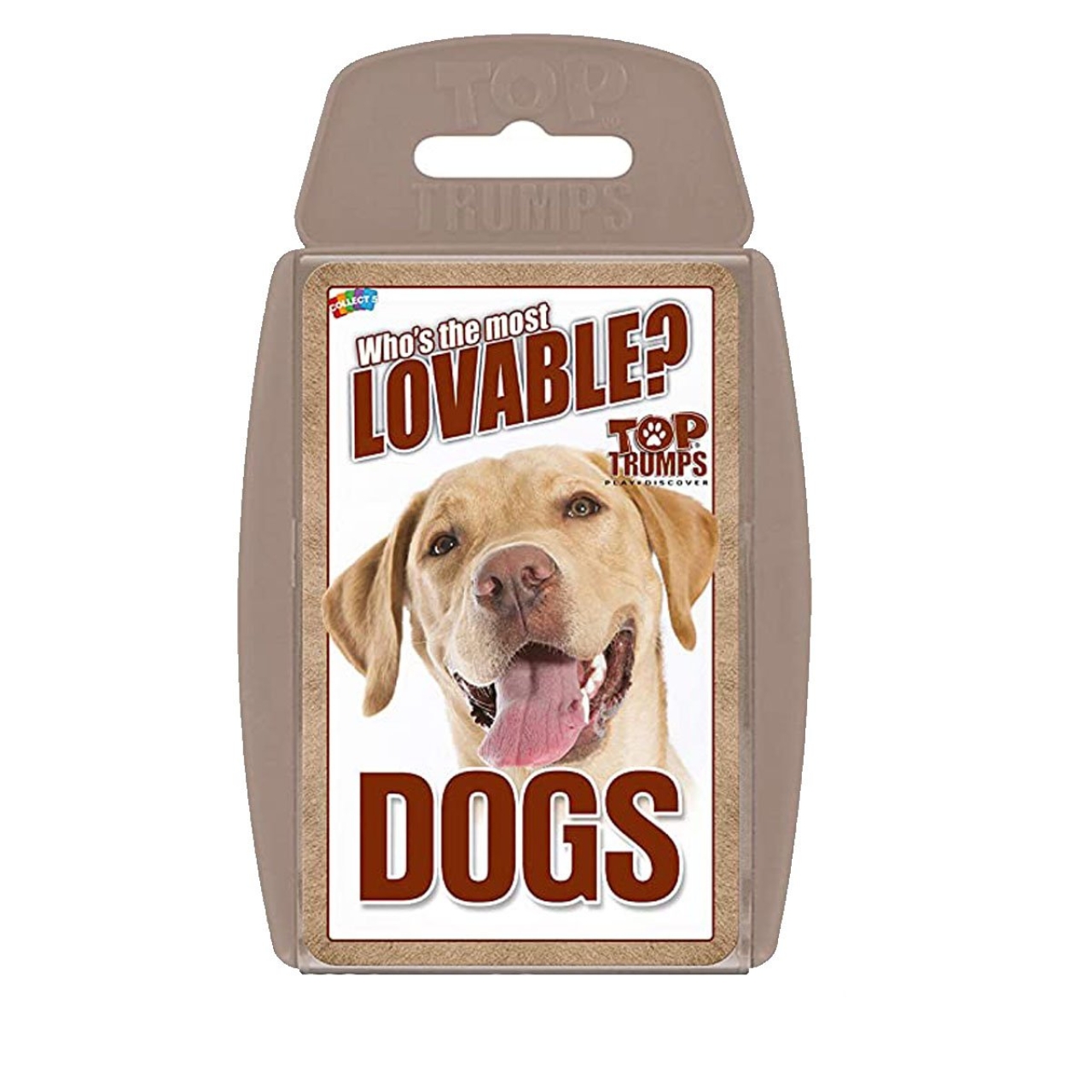 بازی آموزشی مدل Dogs