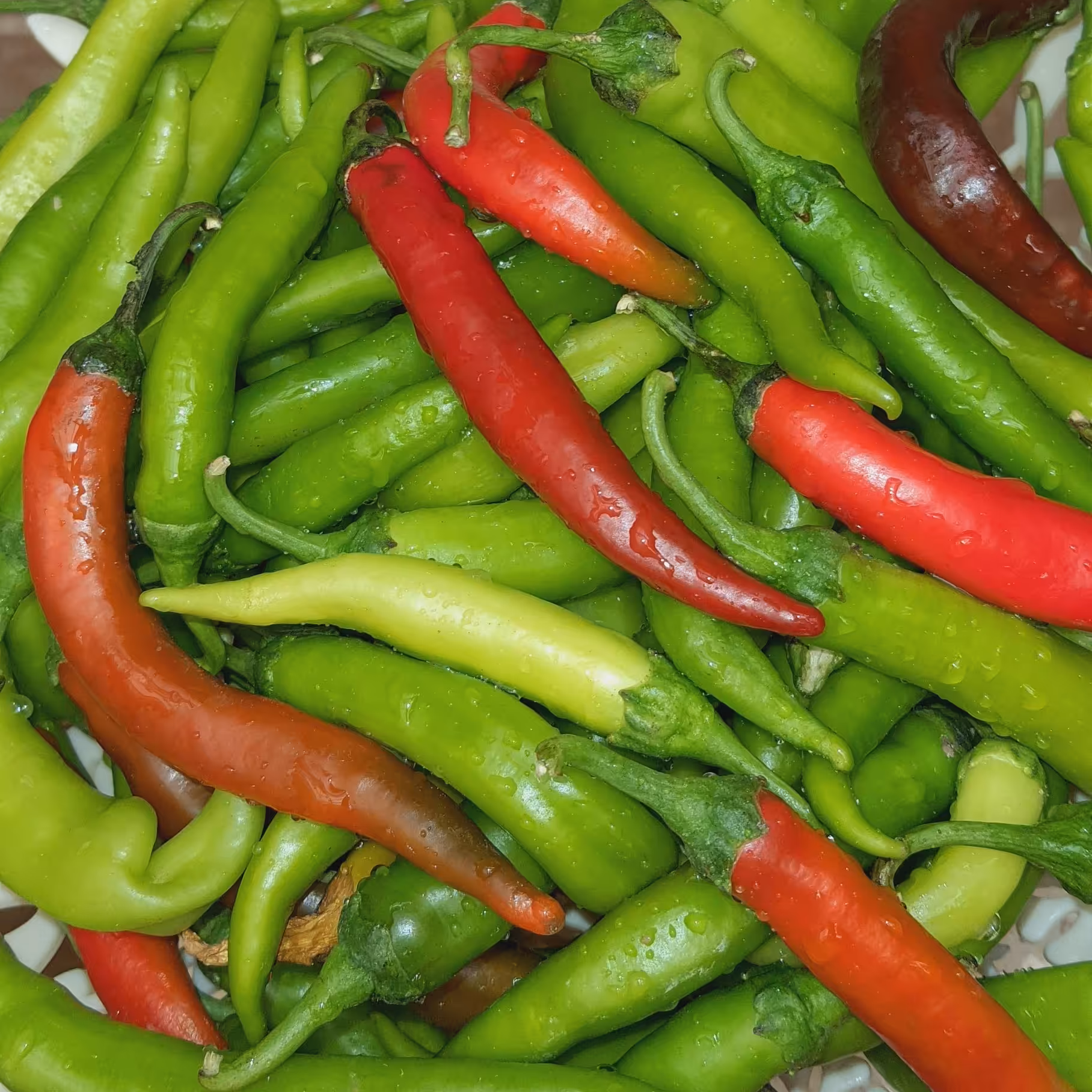 فلفل ریز  سید ( ارسال پسکرایه )