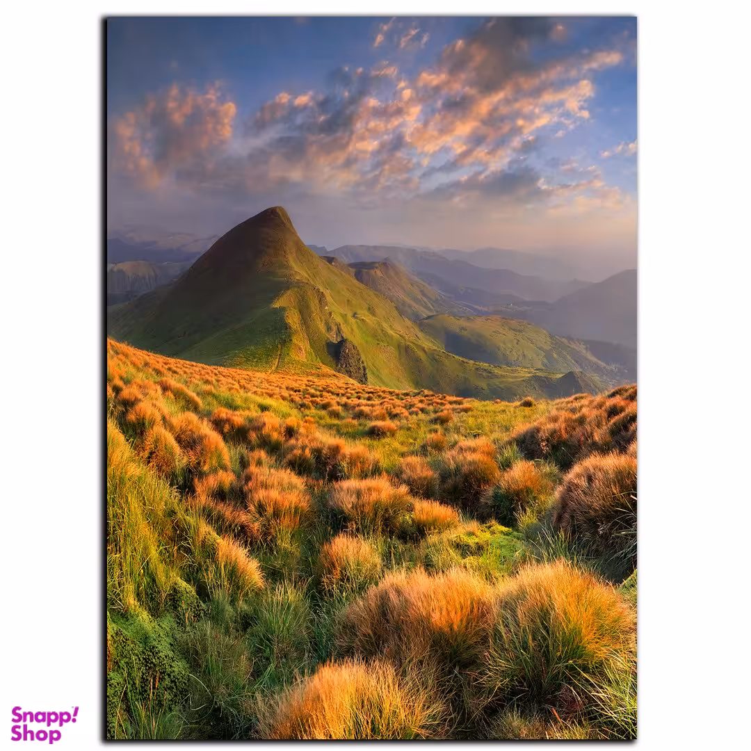 تابلو شاسی بکلیت طرح دشت بهاری مدل SH-S994