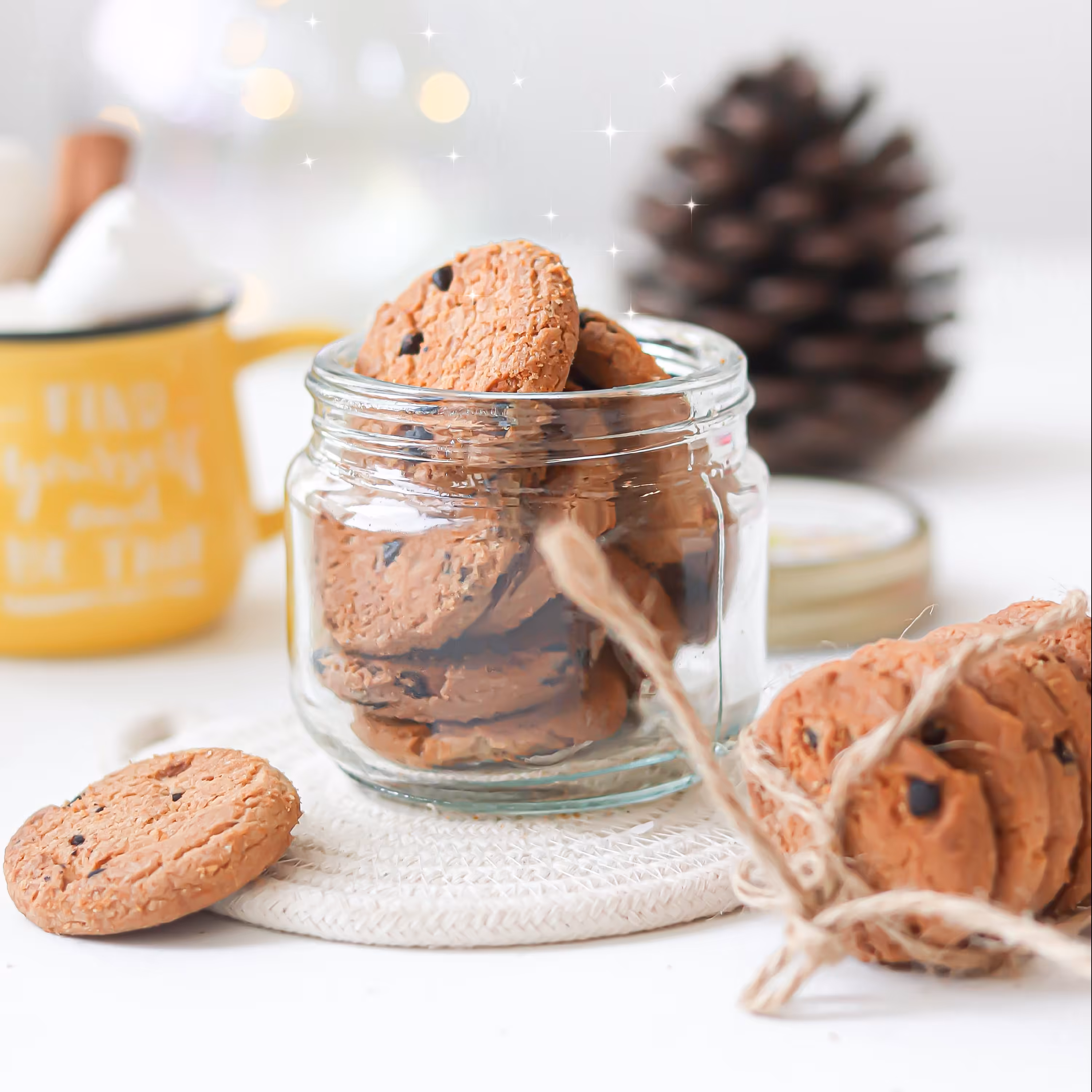 عکاسی خشکبار،نمونه کار عکاسی کوکی