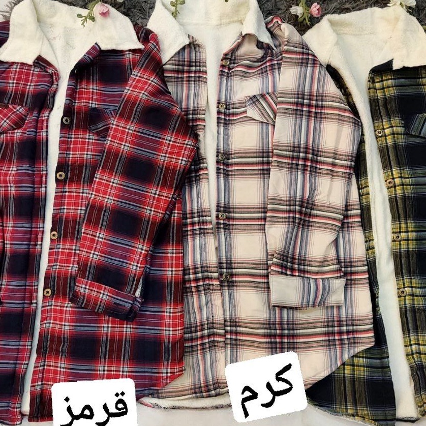شکت پشمی تنوع رنگ