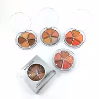 پالت رژگونه