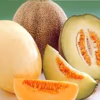 اسانس مایع خوراکی طالبی برند آلمانی در بسته بندی 100 گرمی