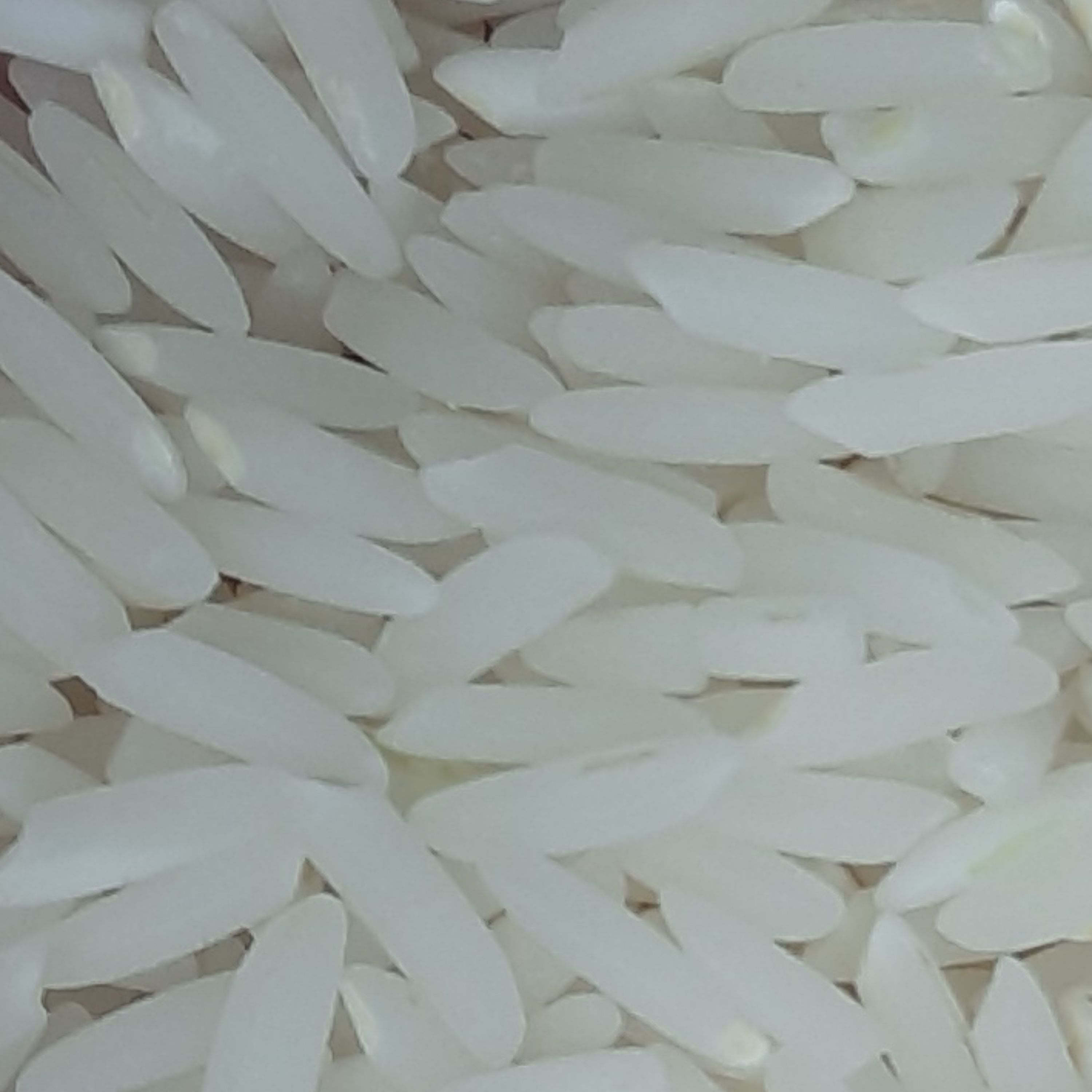 برنج معطّر فریدونکنار درجه یک، خوش پخت و خوشمزه