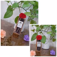 بادی پرفیوم آلفامونته بلک اوپیوم زنانه