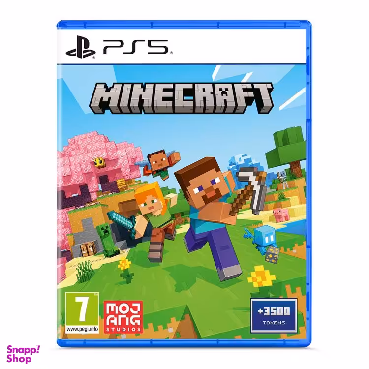 بازی ویدیویی Minecraft مناسب کنسول بازی سونی PS5