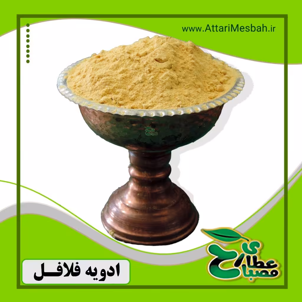 ادویه فلافل 100 گرمی
