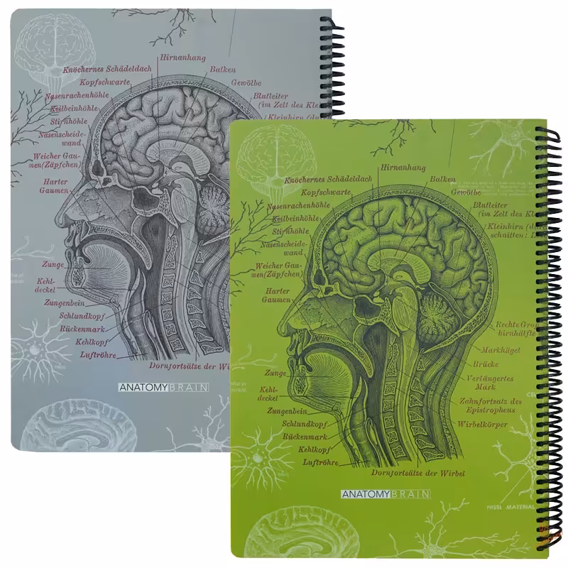 دفتر 100 برگ A4 طرح آناتومی مغز دات نوت