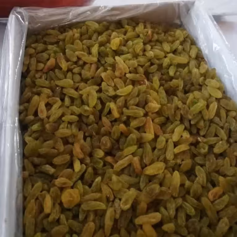 کشمش سبز قلمی ، محصولات باغات کاشمر
کیفیت عالی 