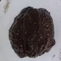 رب انار ملس شمال(خالص و طبیعی)