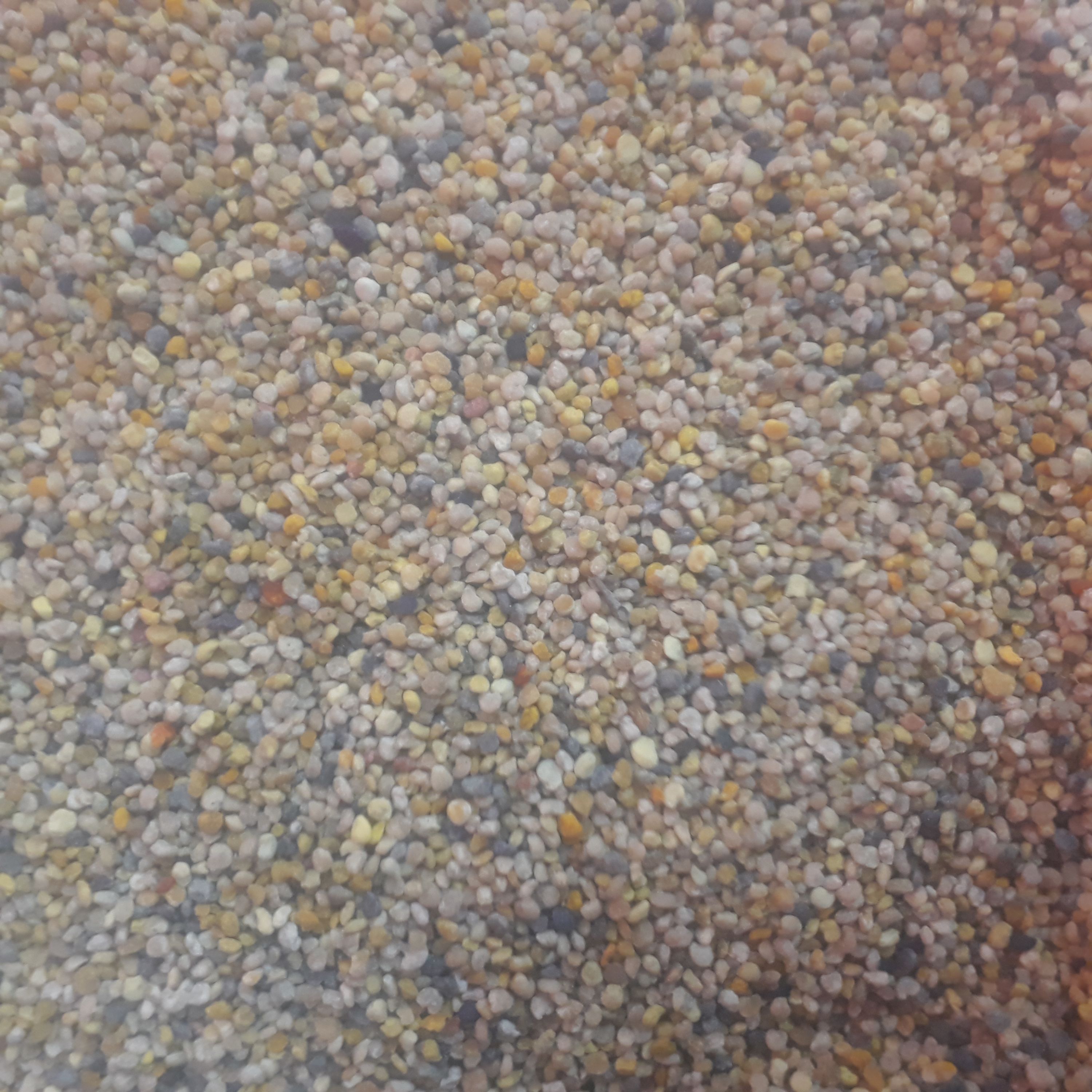 گرده گل کوهستان چالدران