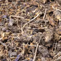 اسطوخودوس اعلاء یک کیلو