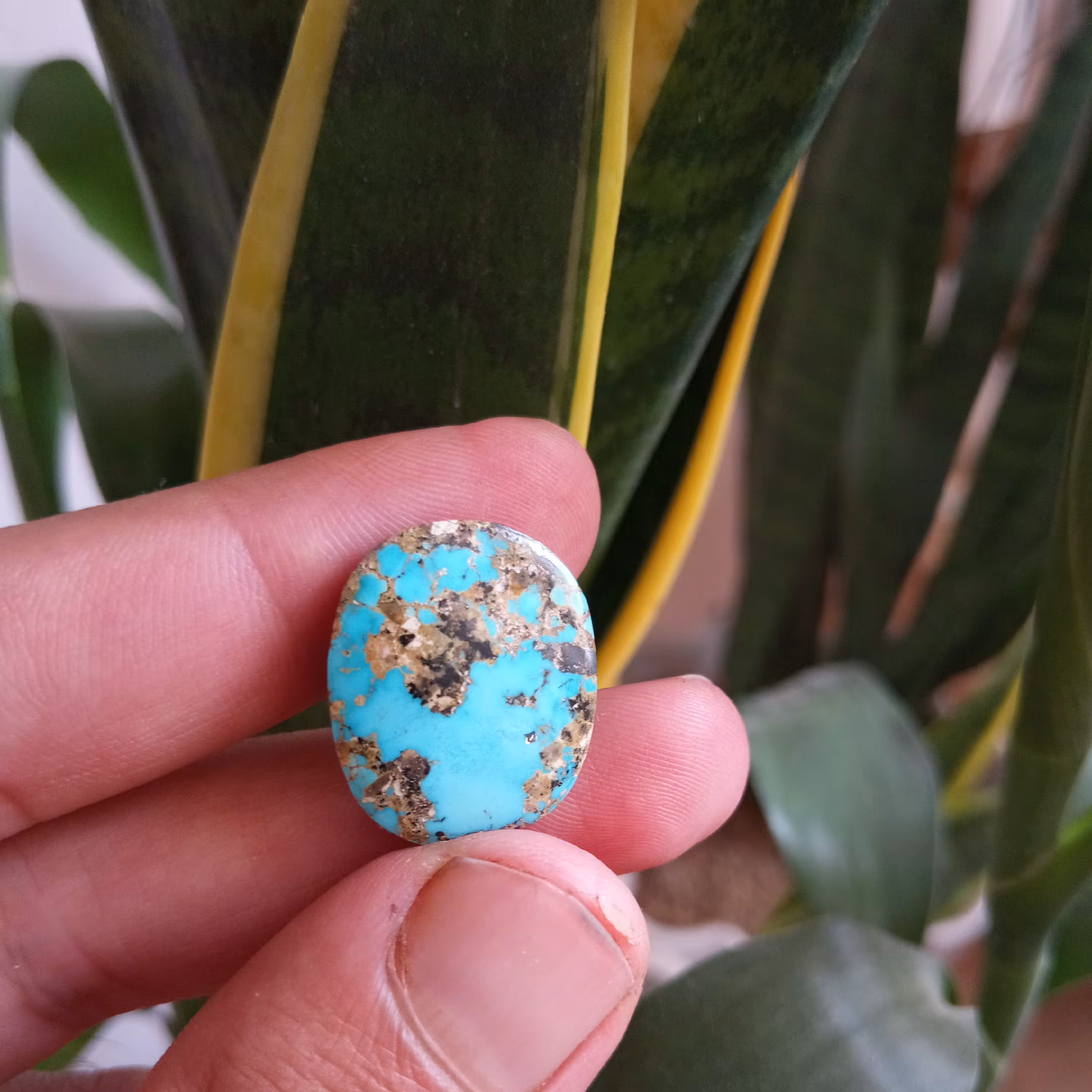 فیروزه نیشابوری کد4