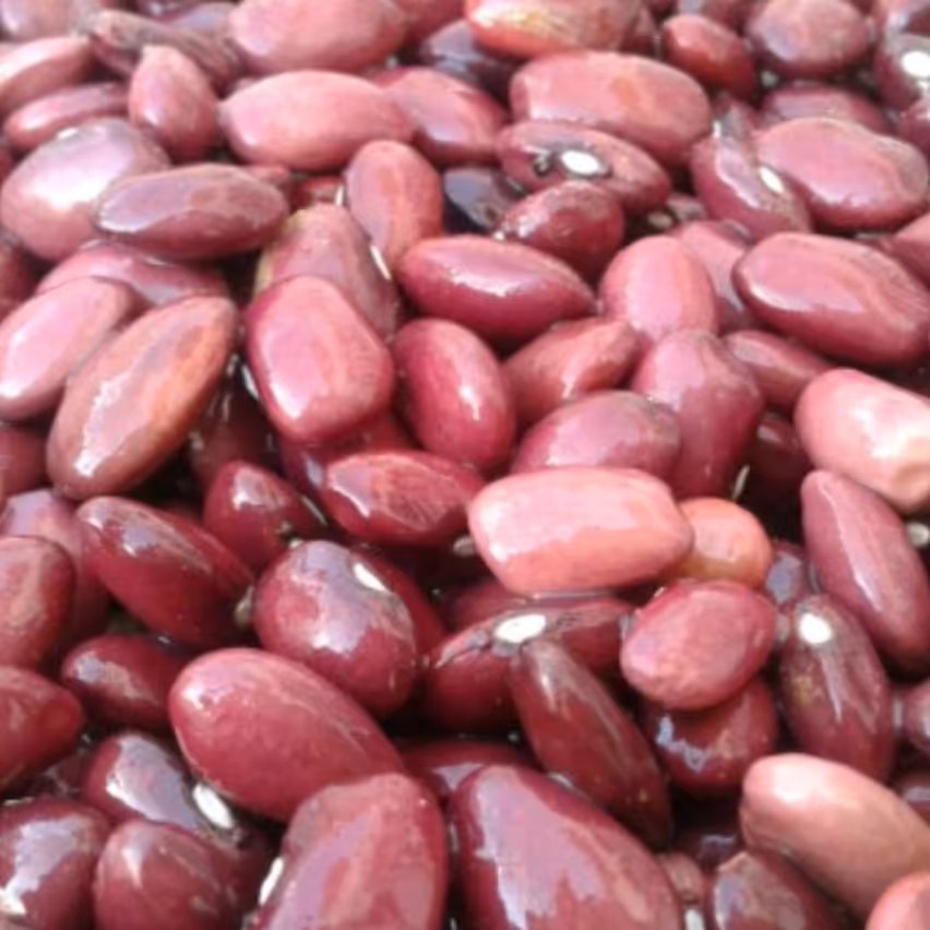 لوبیا قرمز اعلا  یک کیو