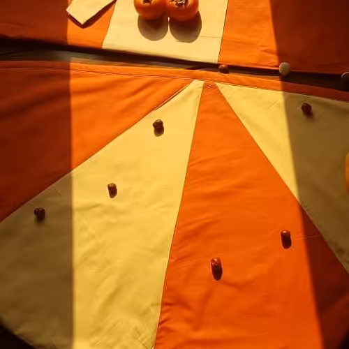 نمگیر طرح گل