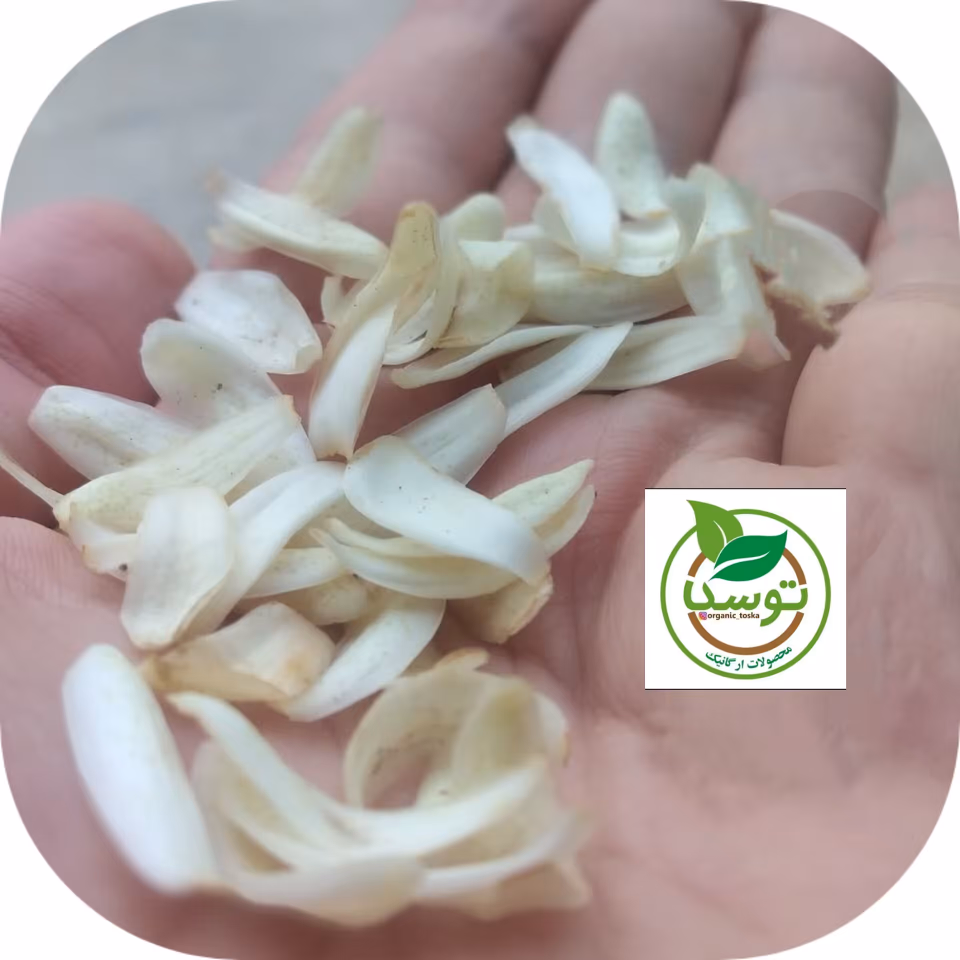 عرق بهار نارنج شمال خالص طبیعی دربسته های یک ونیم لیتری 