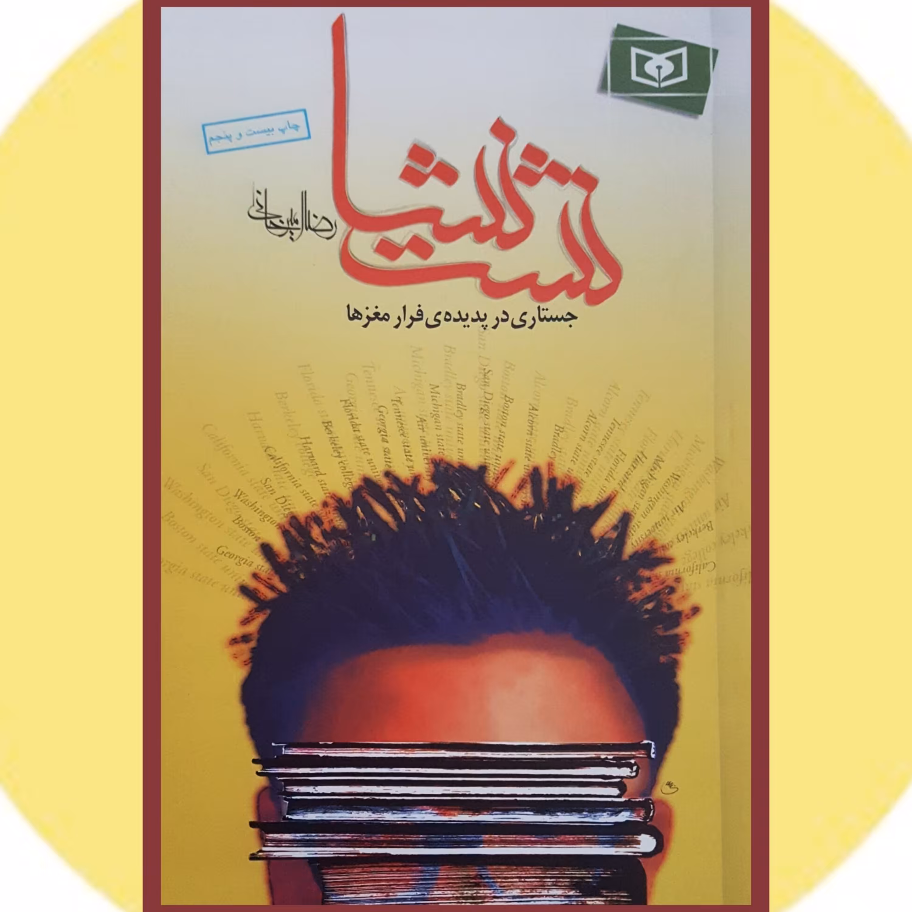 کتاب نشت نشا از رضا امیرخانی