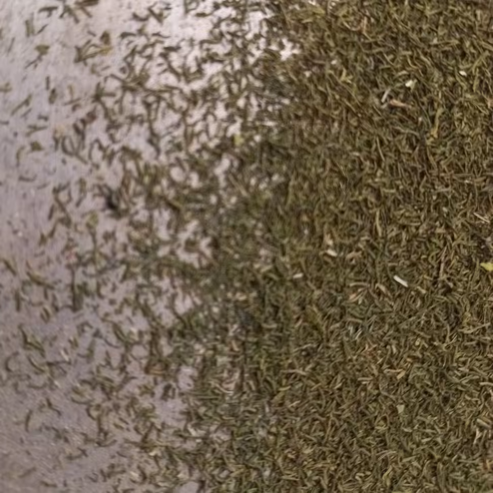 شویدخشک صدگرمی_شسته،خشک و الک شده ی خونگی