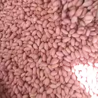 بادام زمینی صادرات 2 کیلو ارسال رایگان  آستانه ای