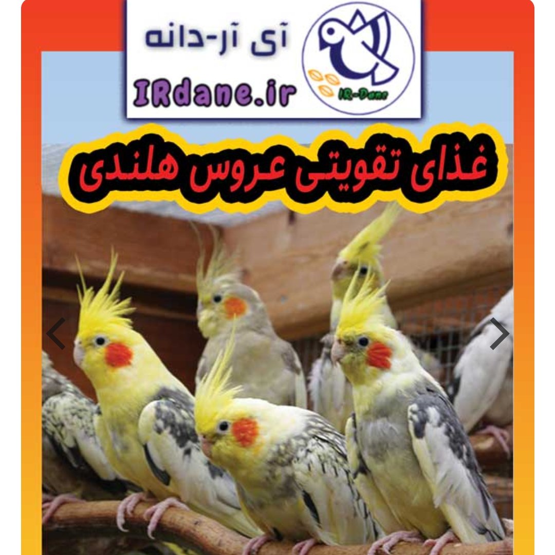 غذای تقویتی عروس هلندی  (وزن 850 گرمی)