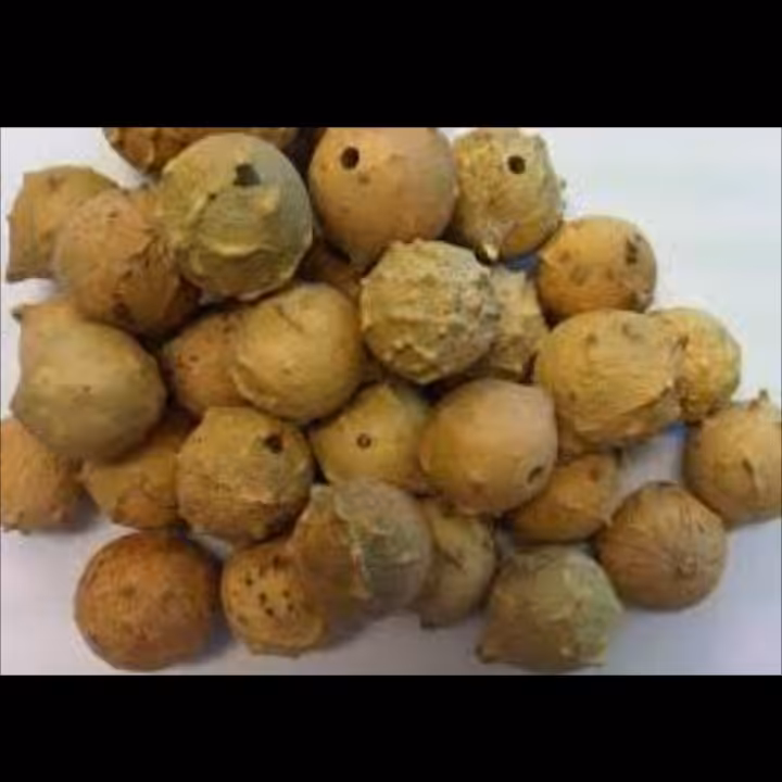 مازو مرکب ( 75 گرمی ) آنتی باکتریال ضد خارش ضد سوزش رفع عفونت 