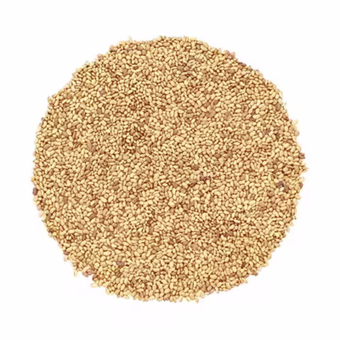 بذر یونجه