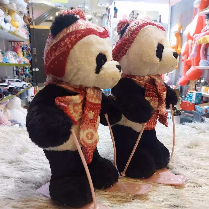 خرس اسکی بلد