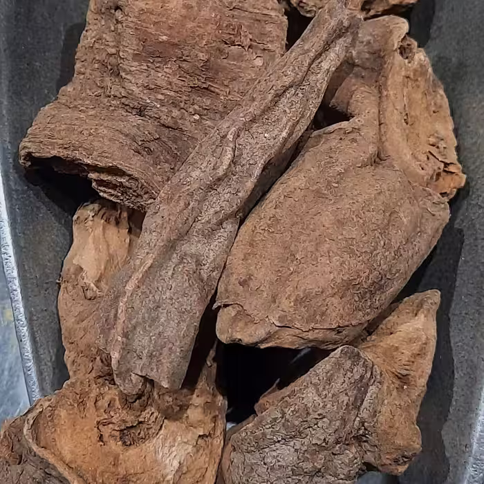 بهمن سرخ