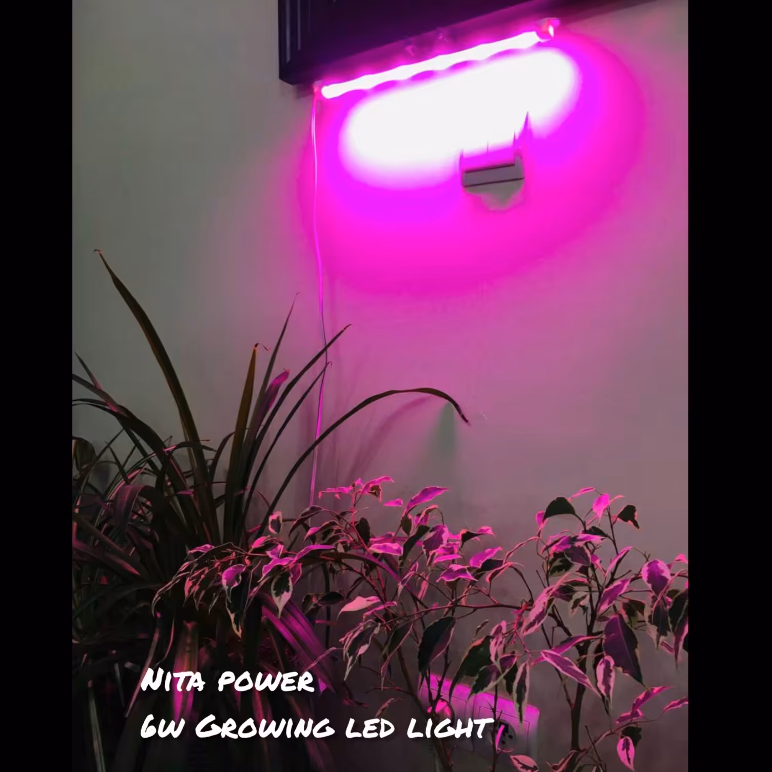 لامپ رشد گیاه   6 وات full  spectrum خطی 