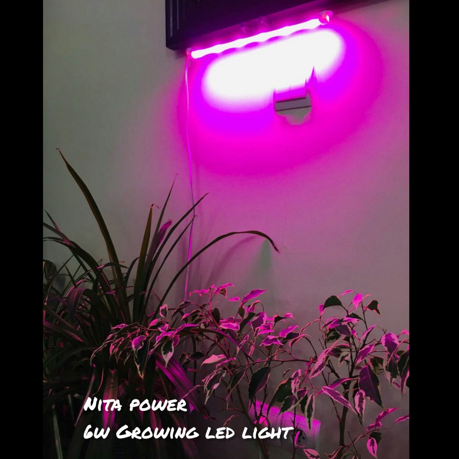 لامپ رشد گیاه   6 وات full  spectrum خطی