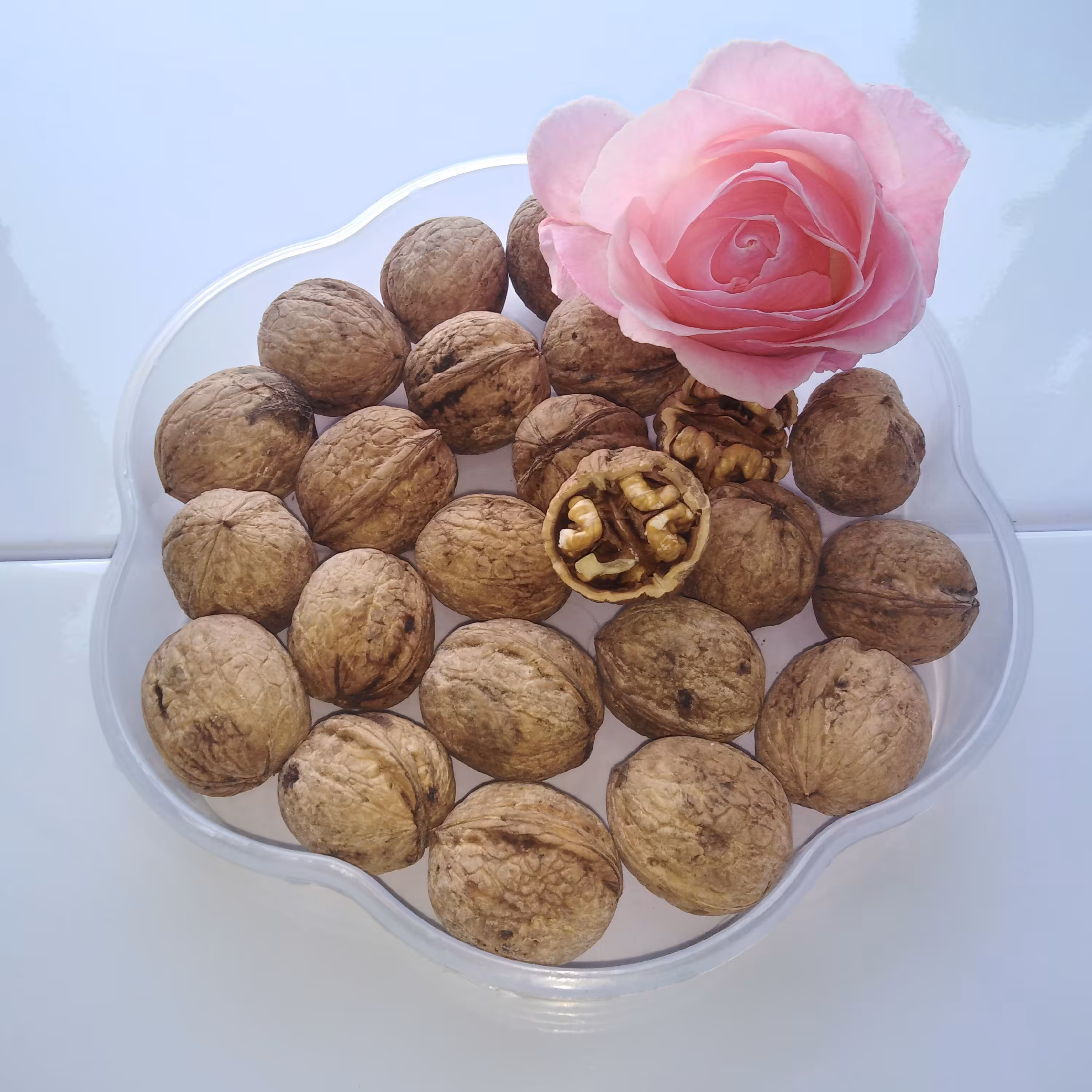 گردو ایرانی محلی درجه 1 تضمین کیفیت شهریور 1403