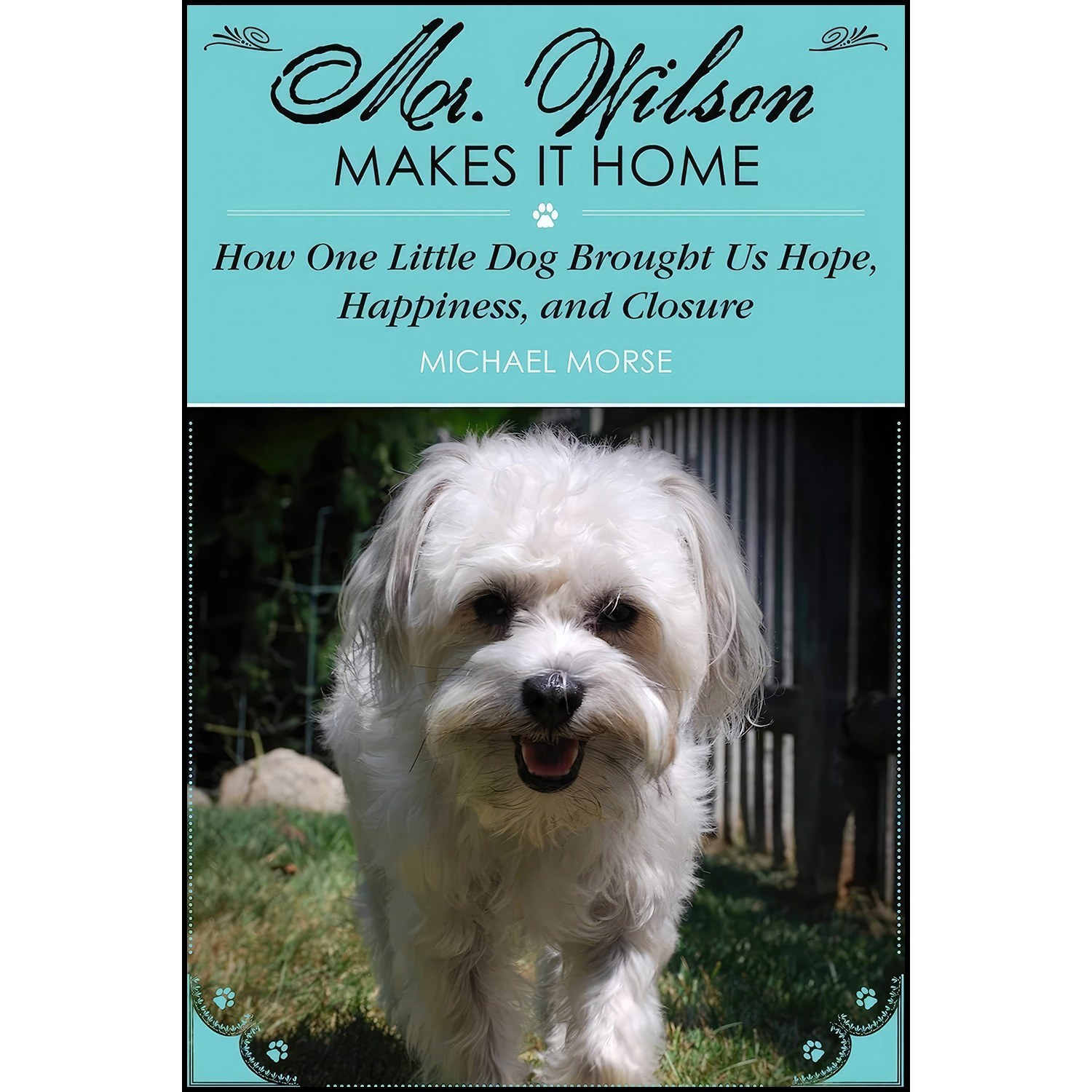 کتاب زبان اصلی Mr Wilson Makes It Home اثر Michael Morse and Cheryl Morse