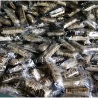 شکلات کانفت 500 گرم آقای آجیل