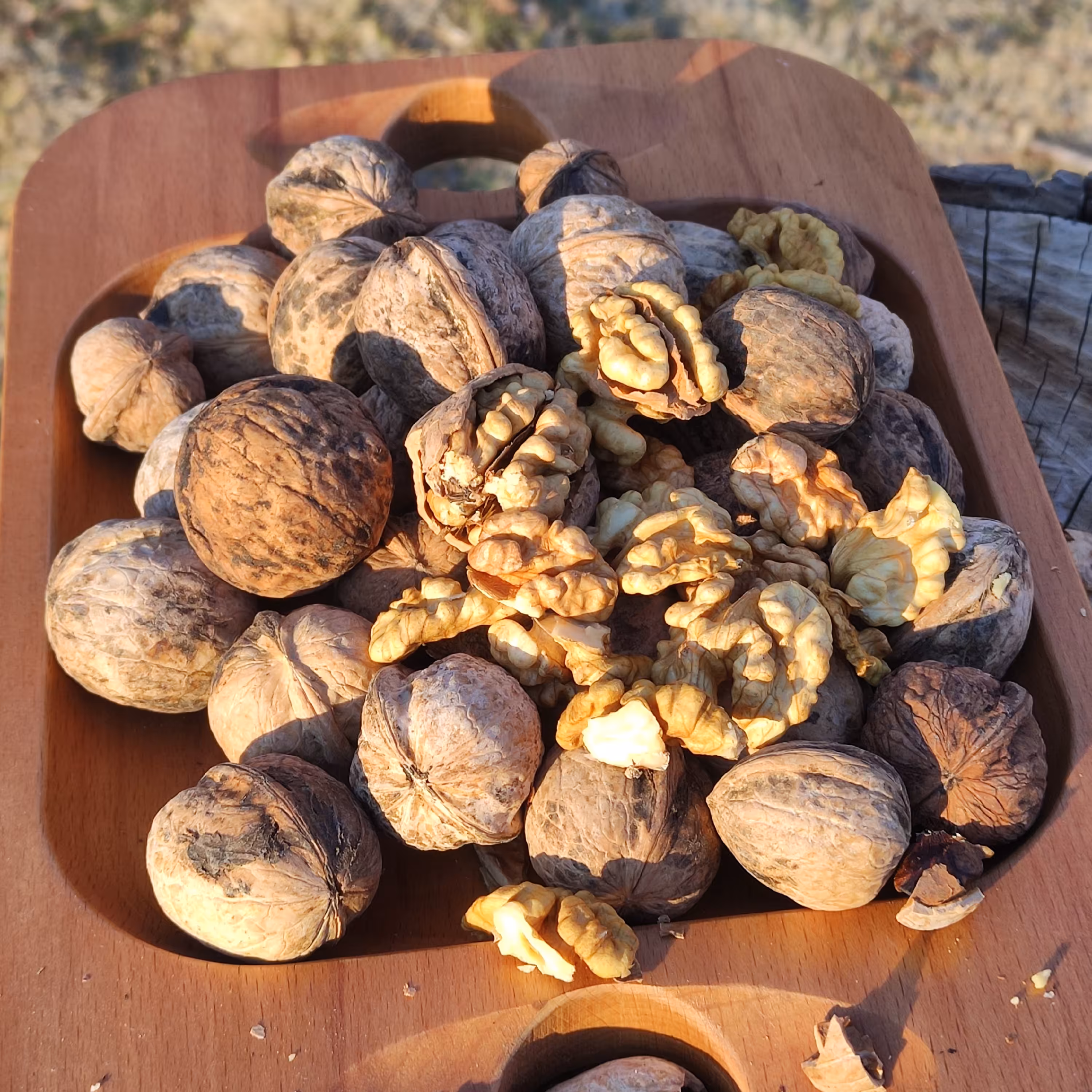 گردو خوش طعم تویسرکان