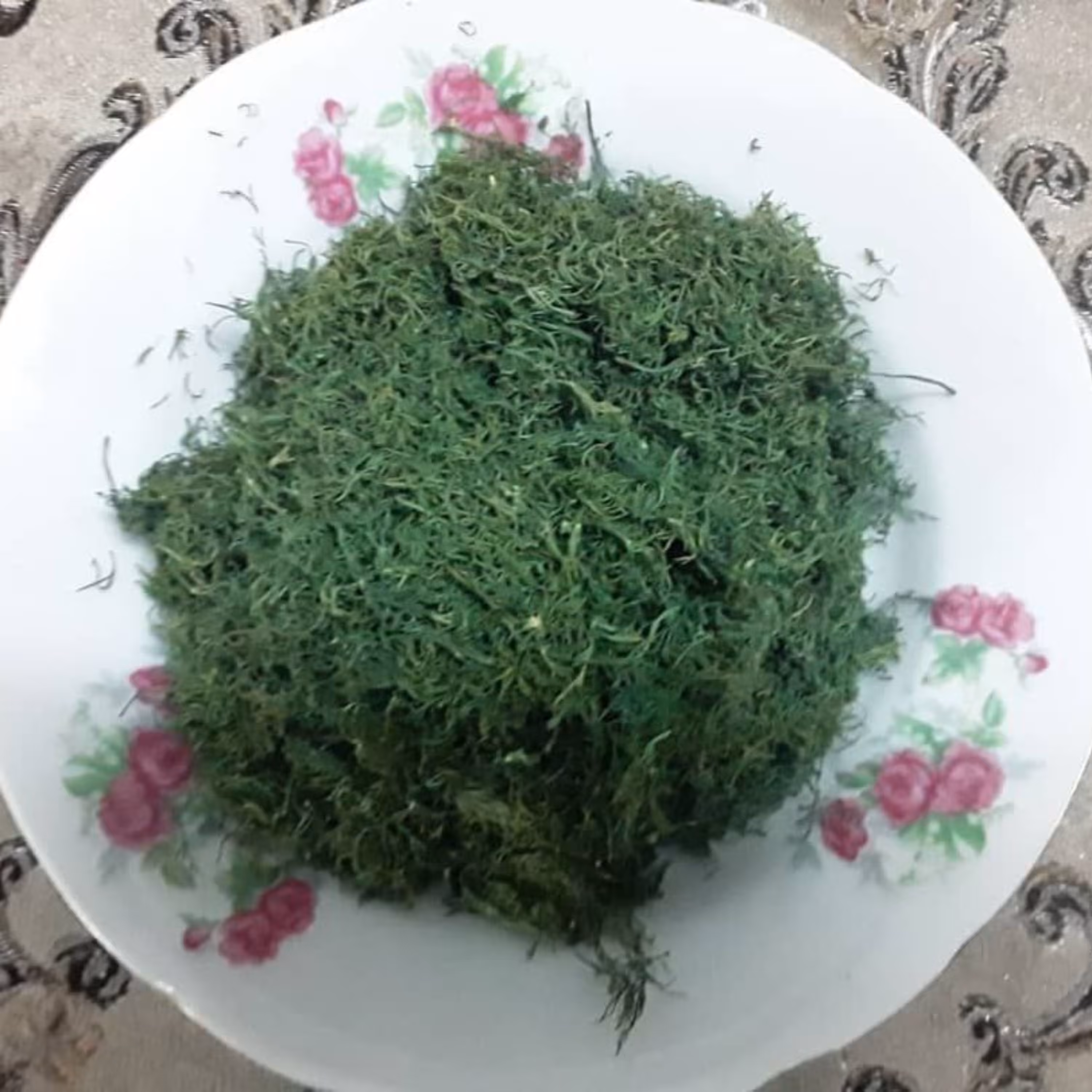 شوید خشک دربسته های 100گرمی