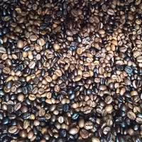 قهوه☕صددرصدروبوستا مدیوم 