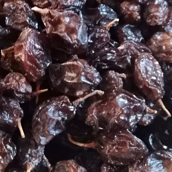 مویز هسته دار تازه و گوشتی و نرم (یک کیلویی)