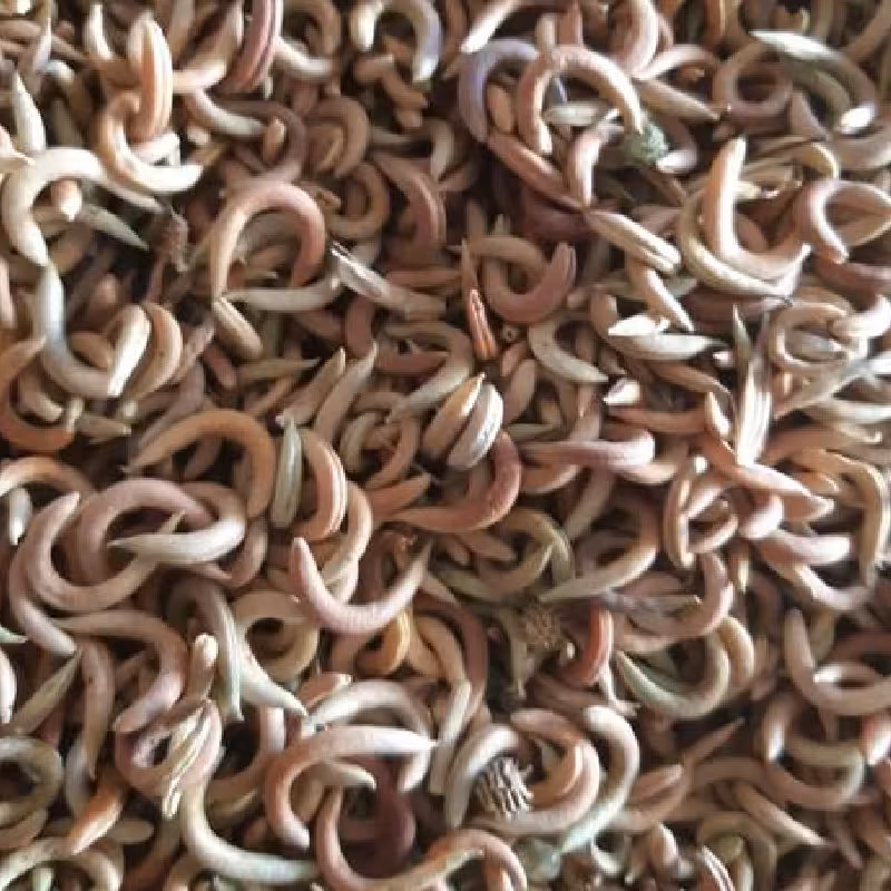 ناخونک درجه 1  1کیلوگزم 