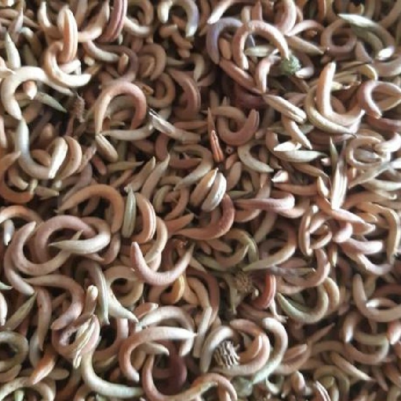 ناخونک درجه 1 1کیلوگزم