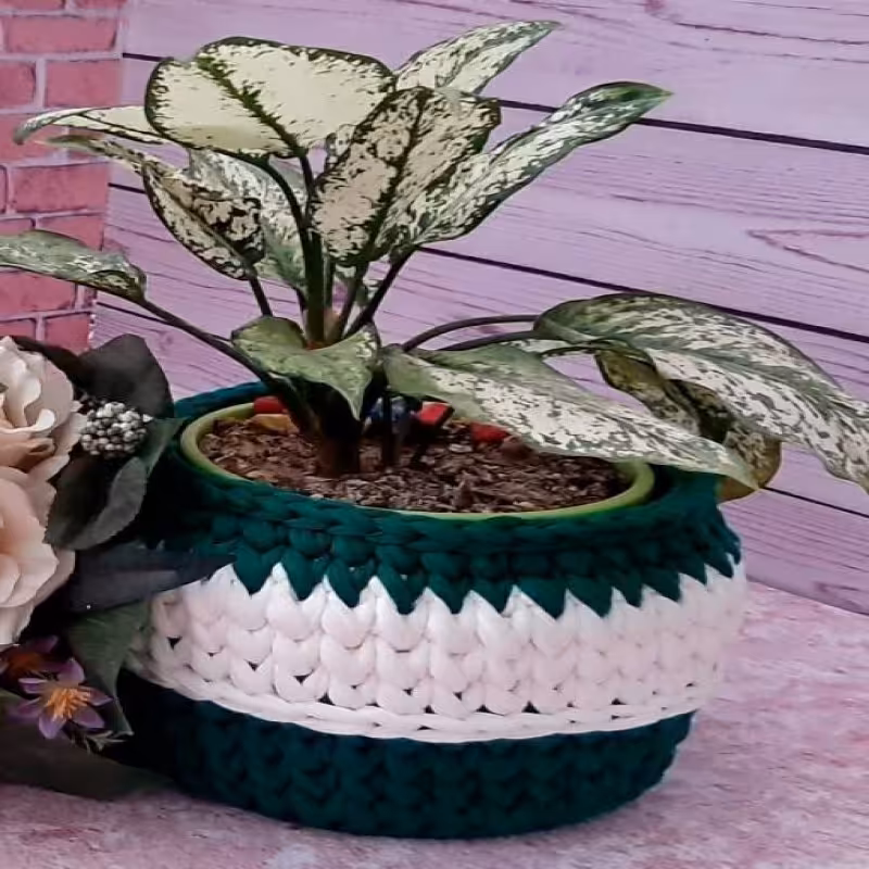 باکس تریکویی گلهای آپارتمانی 